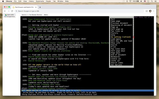 Text Browser and Gopher Client  from Chrome web store to be run with OffiDocs Chromium online