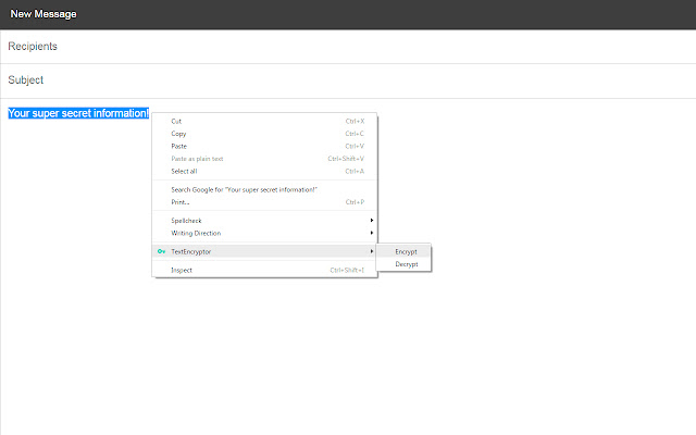TextEncryptor  from Chrome web store to be run with OffiDocs Chromium online