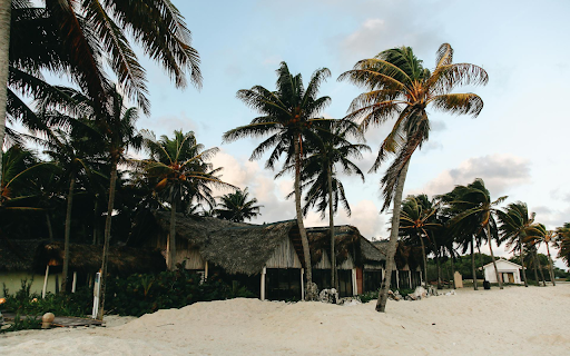 Thatched houses on the beach  from Chrome web store to be run with OffiDocs Chromium online