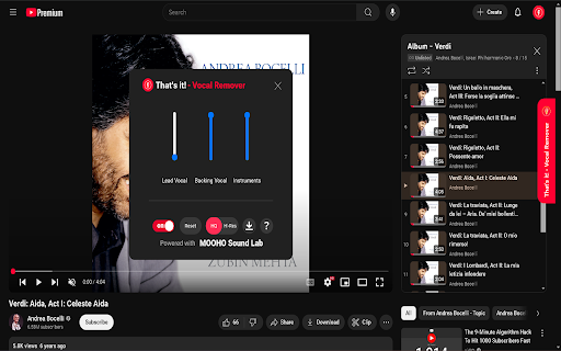 Thats it! Vocal Remover  from Chrome web store to be run with OffiDocs Chromium online