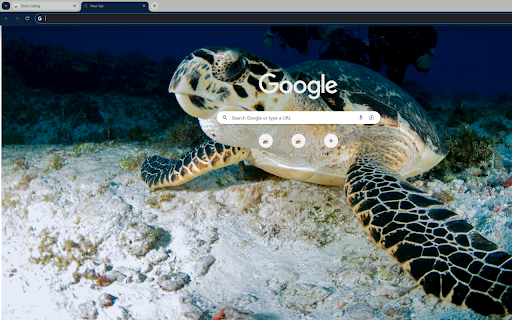 The 500 year old sea turtle  from Chrome web store to be run with OffiDocs Chromium online