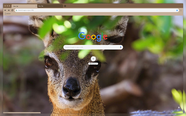 The animals face  from Chrome web store to be run with OffiDocs Chromium online