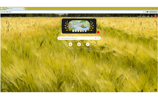 The artistic photograph showcases a vast field of barley  from Chrome web store to be run with OffiDocs Chromium online
