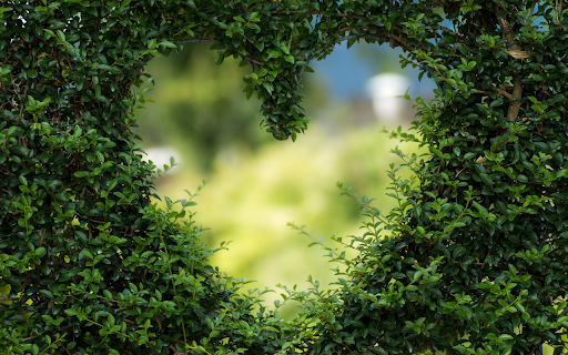 The art of bending trees  from Chrome web store to be run with OffiDocs Chromium online