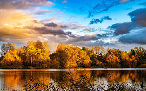 The autumn pond is cold  from Chrome web store to be run with OffiDocs Chromium online