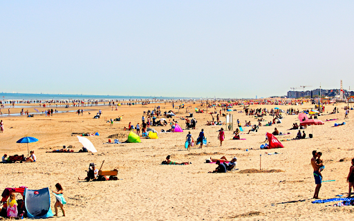 The beach is sunny and windy  from Chrome web store to be run with OffiDocs Chromium online