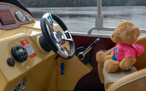 The bear and the pink shirt  from Chrome web store to be run with OffiDocs Chromium online