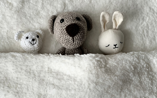 The bears slept well  from Chrome web store to be run with OffiDocs Chromium online