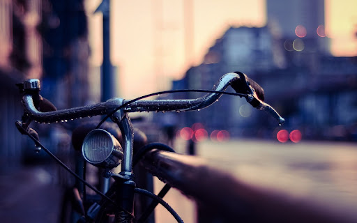 The Bicycle at Sunset  from Chrome web store to be run with OffiDocs Chromium online