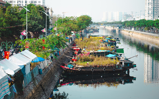 The boat becomes a bonsai  from Chrome web store to be run with OffiDocs Chromium online