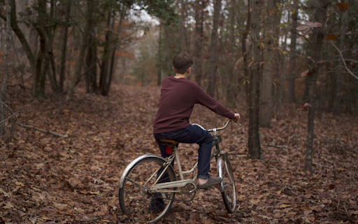 The boy in the forest  from Chrome web store to be run with OffiDocs Chromium online