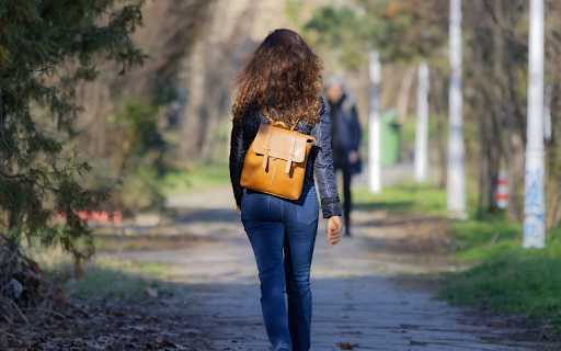The Brownish Gold Backpack  from Chrome web store to be run with OffiDocs Chromium online