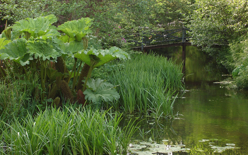 The canal is luxuriant  from Chrome web store to be run with OffiDocs Chromium online