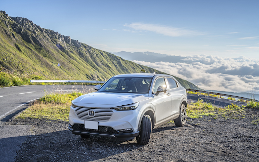 The car stopped next to the mountain  from Chrome web store to be run with OffiDocs Chromium online