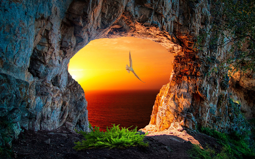 The cave and the sunlight  from Chrome web store to be run with OffiDocs Chromium online