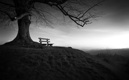 The chair next to the tree  from Chrome web store to be run with OffiDocs Chromium online