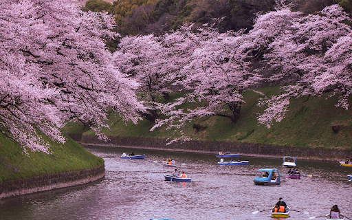 The Chidorigafuchi Moat During Spring  from Chrome web store to be run with OffiDocs Chromium online