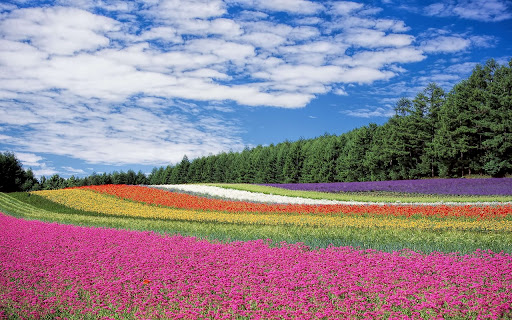 ThE coOl mOthEr nAturE Mix v3  from Chrome web store to be run with OffiDocs Chromium online