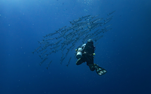 The diver and the fish  from Chrome web store to be run with OffiDocs Chromium online