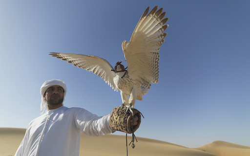 The falcon perches on the arm  from Chrome web store to be run with OffiDocs Chromium online