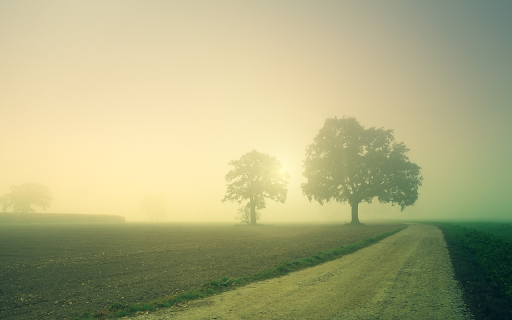 The field is foggy  from Chrome web store to be run with OffiDocs Chromium online