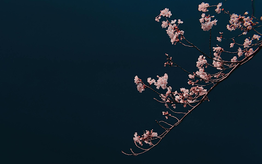 The flower branches are shady  from Chrome web store to be run with OffiDocs Chromium online