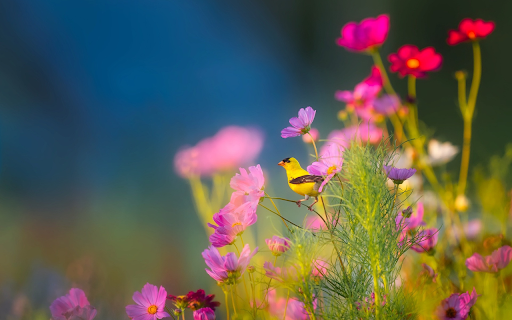 The flower garden blooms  from Chrome web store to be run with OffiDocs Chromium online