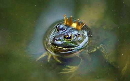 The frog and the golden crown  from Chrome web store to be run with OffiDocs Chromium online