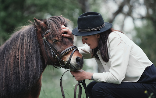 The girl and the good horse  from Chrome web store to be run with OffiDocs Chromium online