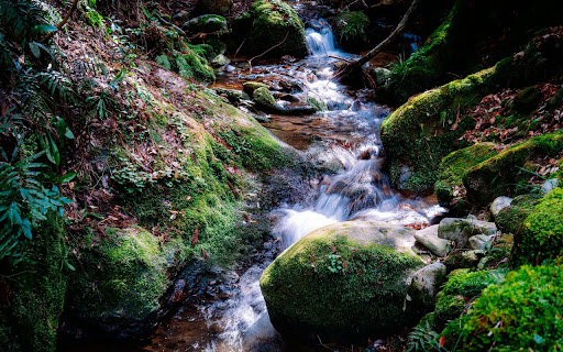 The Green Moss Stream  from Chrome web store to be run with OffiDocs Chromium online