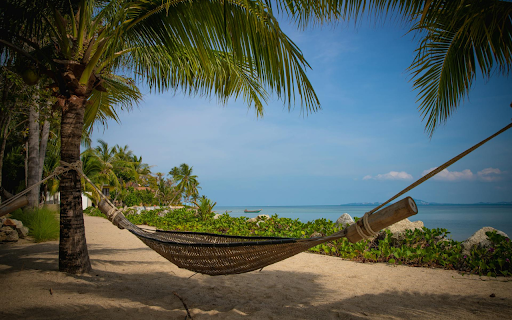 The hammock  from Chrome web store to be run with OffiDocs Chromium online