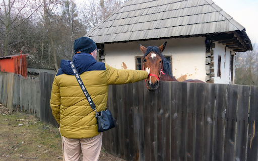 The horse and the little house  from Chrome web store to be run with OffiDocs Chromium online
