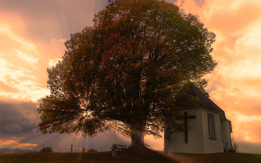 The house under the tree  from Chrome web store to be run with OffiDocs Chromium online