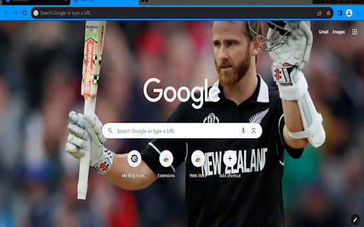 Theilt20  from Chrome web store to be run with OffiDocs Chromium online