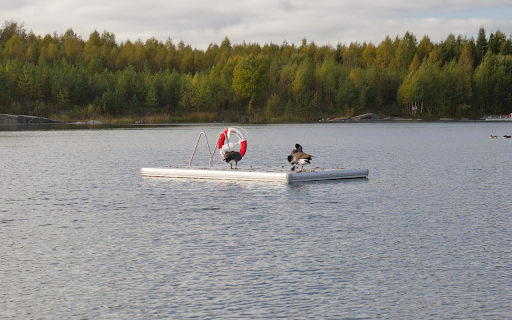 The inflatable raft and the goose  from Chrome web store to be run with OffiDocs Chromium online