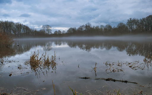 The lake surface is a bit foggy  from Chrome web store to be run with OffiDocs Chromium online