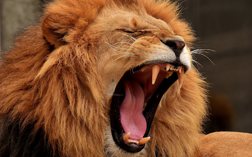 The lions fang  from Chrome web store to be run with OffiDocs Chromium online
