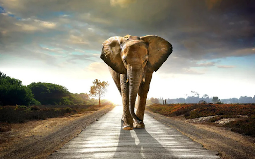 The Majestic Elephant: A Gentle Giant of the Wild  from Chrome web store to be run with OffiDocs Chromium online