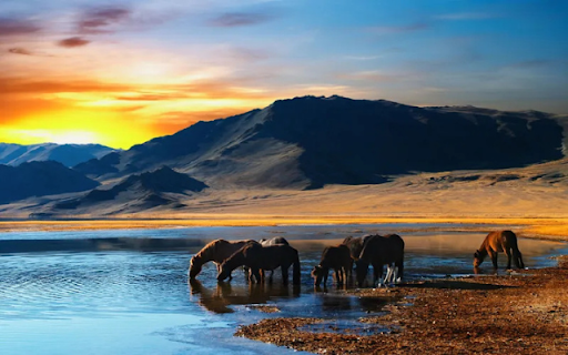 The Majestic Horse: A Symbol of Strength and Freedom  from Chrome web store to be run with OffiDocs Chromium online