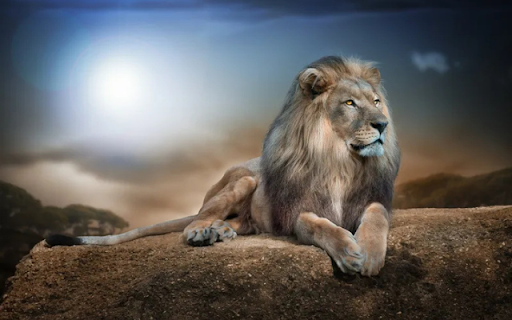 The Majestic King of the Savannah  from Chrome web store to be run with OffiDocs Chromium online