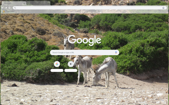 The Makronisos Island  from Chrome web store to be run with OffiDocs Chromium online
