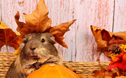 The mouse and the leaf  from Chrome web store to be run with OffiDocs Chromium online