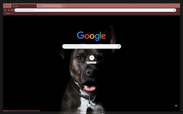 The muzzle of a dog  from Chrome web store to be run with OffiDocs Chromium online
