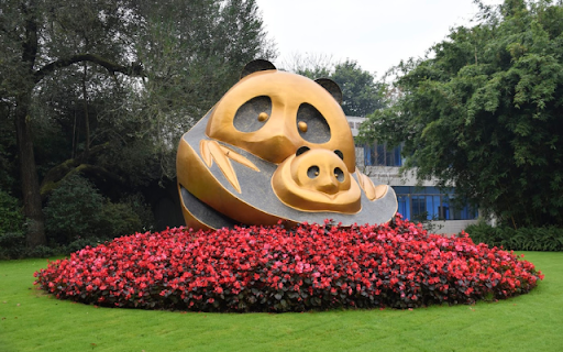 The Panda Research Base, Chengdu  from Chrome web store to be run with OffiDocs Chromium online