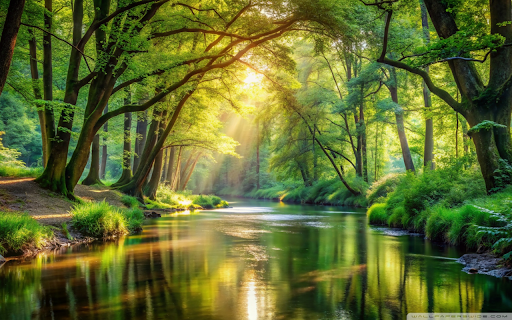 The River Under the Sunlit Forest  from Chrome web store to be run with OffiDocs Chromium online