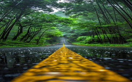 The road after the rain Wallpaper  from Chrome web store to be run with OffiDocs Chromium online