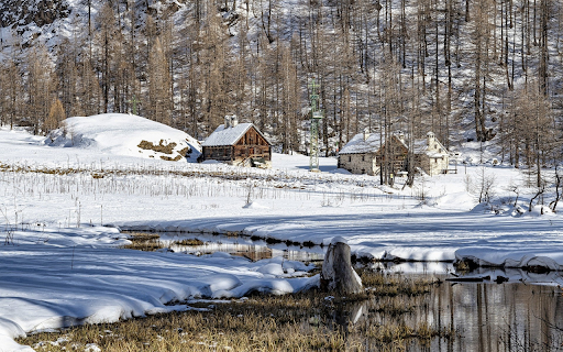 The season is cold  from Chrome web store to be run with OffiDocs Chromium online