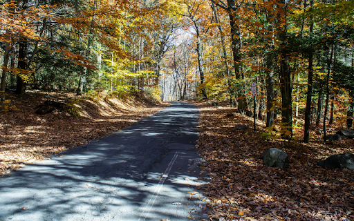 The shady road  from Chrome web store to be run with OffiDocs Chromium online