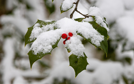 The space is filled with snow  from Chrome web store to be run with OffiDocs Chromium online