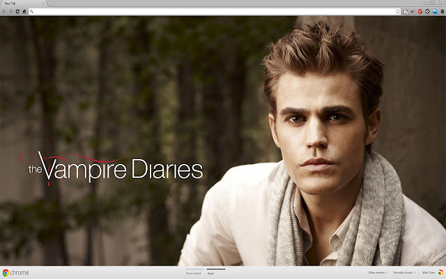 The Vampire Diaries Stefan  from Chrome web store to be run with OffiDocs Chromium online